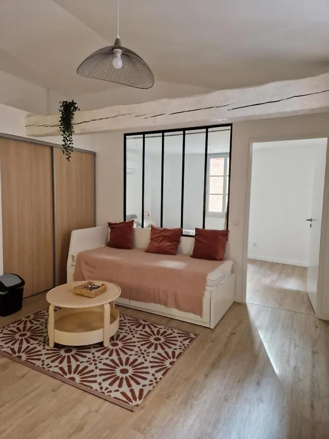 Appartement Chal2 Hyper-Centre T2 Confort Et Calme Toulouse