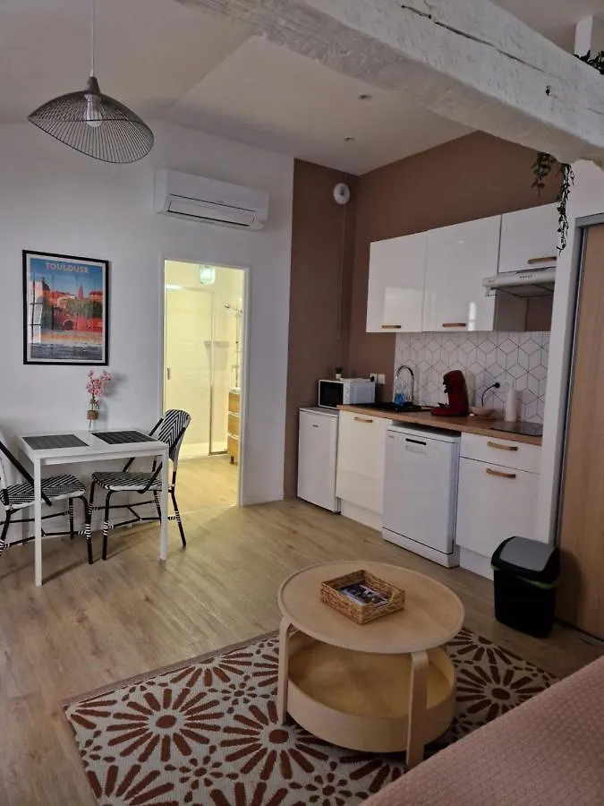 Apartamento Chal2 Hyper-Centre T2 Confort Et Calme Toulouse Francia